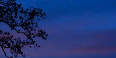 Fn Film Cold Horizon