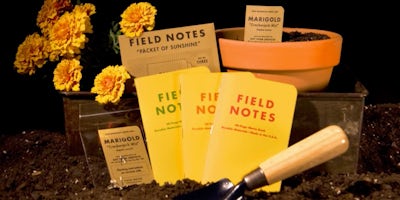 Fn Film Obsessives Guide Part 2